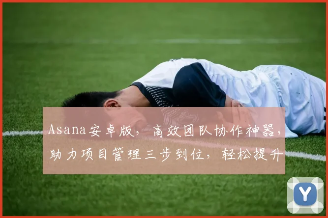 Asana安卓版，高效团队协作神器，助力项目管理三步到位，轻松提升工作效率，一站式解决方案。