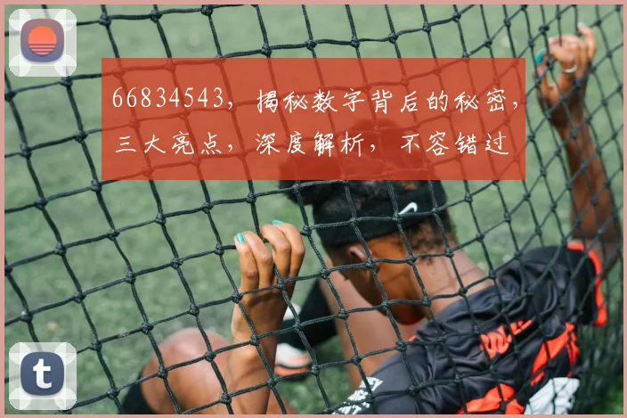 66834543，揭秘数字背后的秘密，三大亮点，深度解析，不容错过
