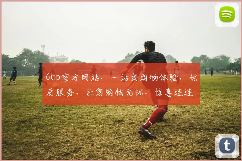 6up官方网站，一站式购物体验，优质服务，让您购物无忧，惊喜连连，不容错过