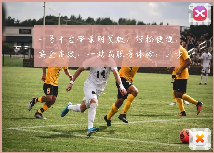 一号平台登录网页版，轻松便捷，安全高效，一站式服务体验，三步快速登录，畅享无忧