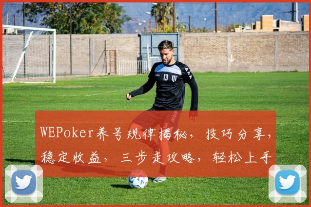WEPoker养号规律揭秘，技巧分享，稳定收益，三步走攻略，轻松上手