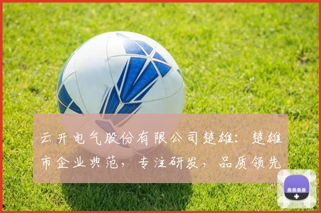 云开电气股份有限公司楚雄：楚雄市企业典范，专注研发，品质领先，服务至上，助力区域经济发展。